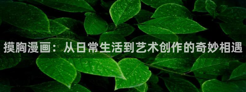 韩漫漫画贝勒漫画：摸胸漫画：从日常生活到艺术创作的奇妙相遇