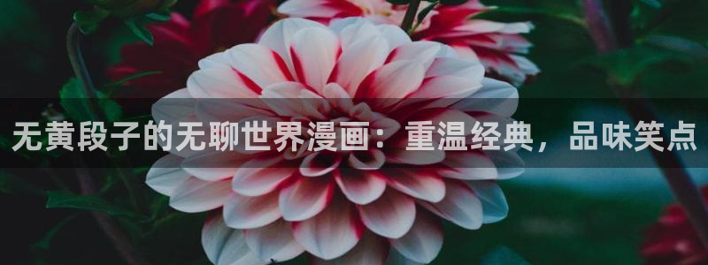 贝勒漫画韩漫：无黄段子的无聊世界漫画：重温经典，品味笑点
