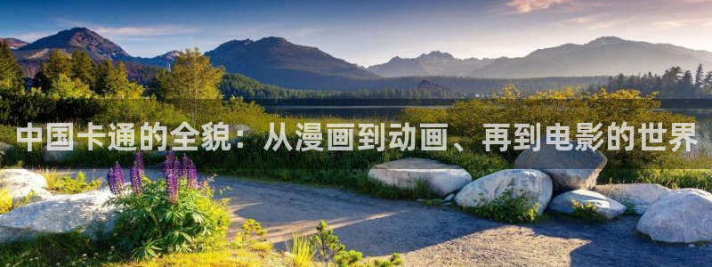 贝勒漫画登录入口：中国卡通的全貌：从漫画到动画、再到电影的世界