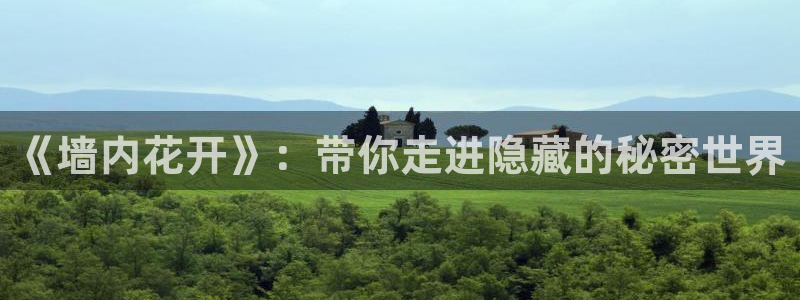 全部漫画贝勒漫画：《墙内花开》：带你走进隐藏的秘密世界