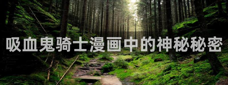 韩国漫画贝勒漫画：吸血鬼骑士漫画中的神秘秘密
