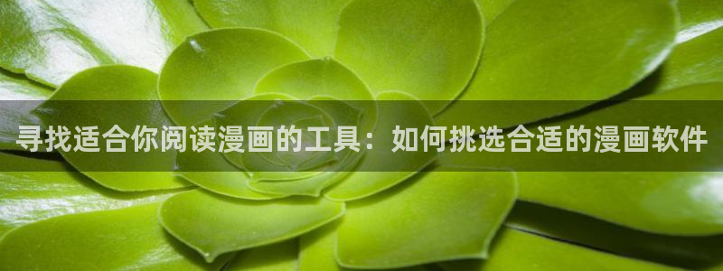 贝勒漫画网全部漫画：寻找适合你阅读漫画的工具：如何挑选合适的漫画软件