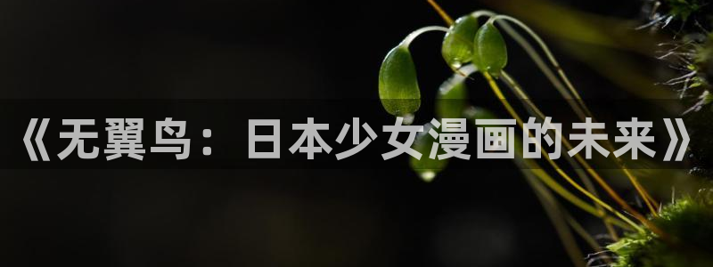 贝勒漫画妄想的边界