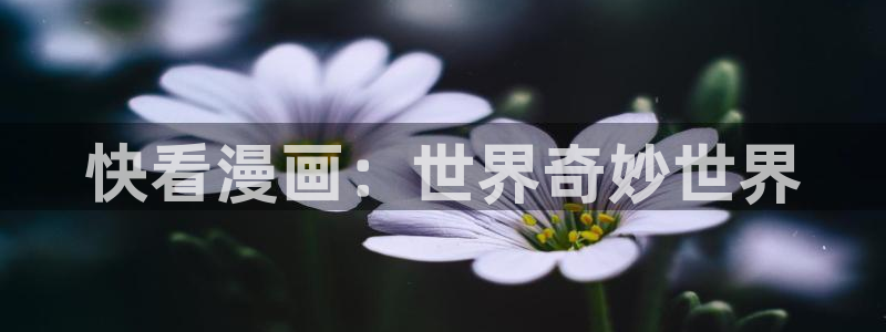 贝勒漫画app下载