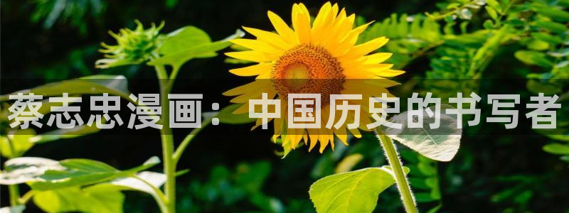 阴森森宝贝贝勒漫画