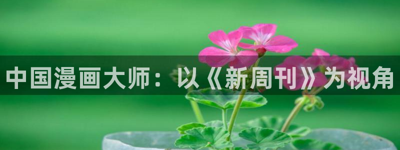 日漫 贝勒漫画：中国漫画大师：以《新周刊》为视角