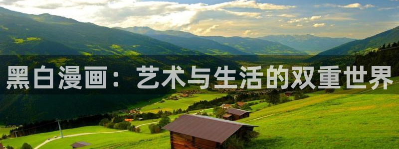 贝勒漫画巨人：黑白漫画：艺术与生活的双重世界