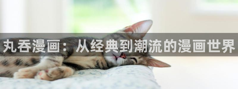 巨人族的新娘贝勒漫画：丸吞漫画：从经典到潮流的漫画世界