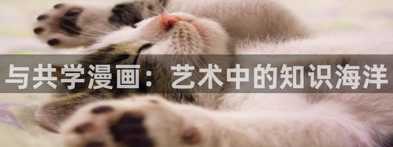 贝勒漫画网站免费观看：与共学漫画：艺术中的知识海洋