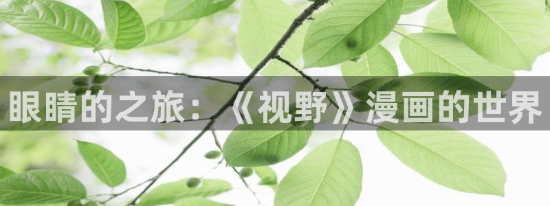 贝勒漫画魔咒04：眼睛的之旅：《视野》漫画的世界