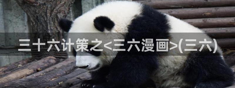 巨人族的花嫁贝勒漫画：三十六计策之<三六漫画>(三六)