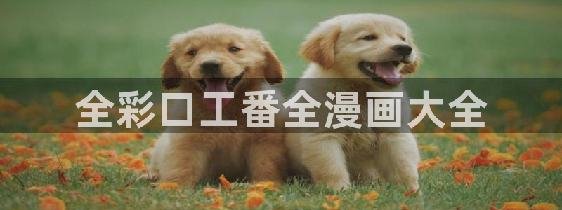 贝勒漫画巨人族的新娘漫画：全彩口工番全漫画大全